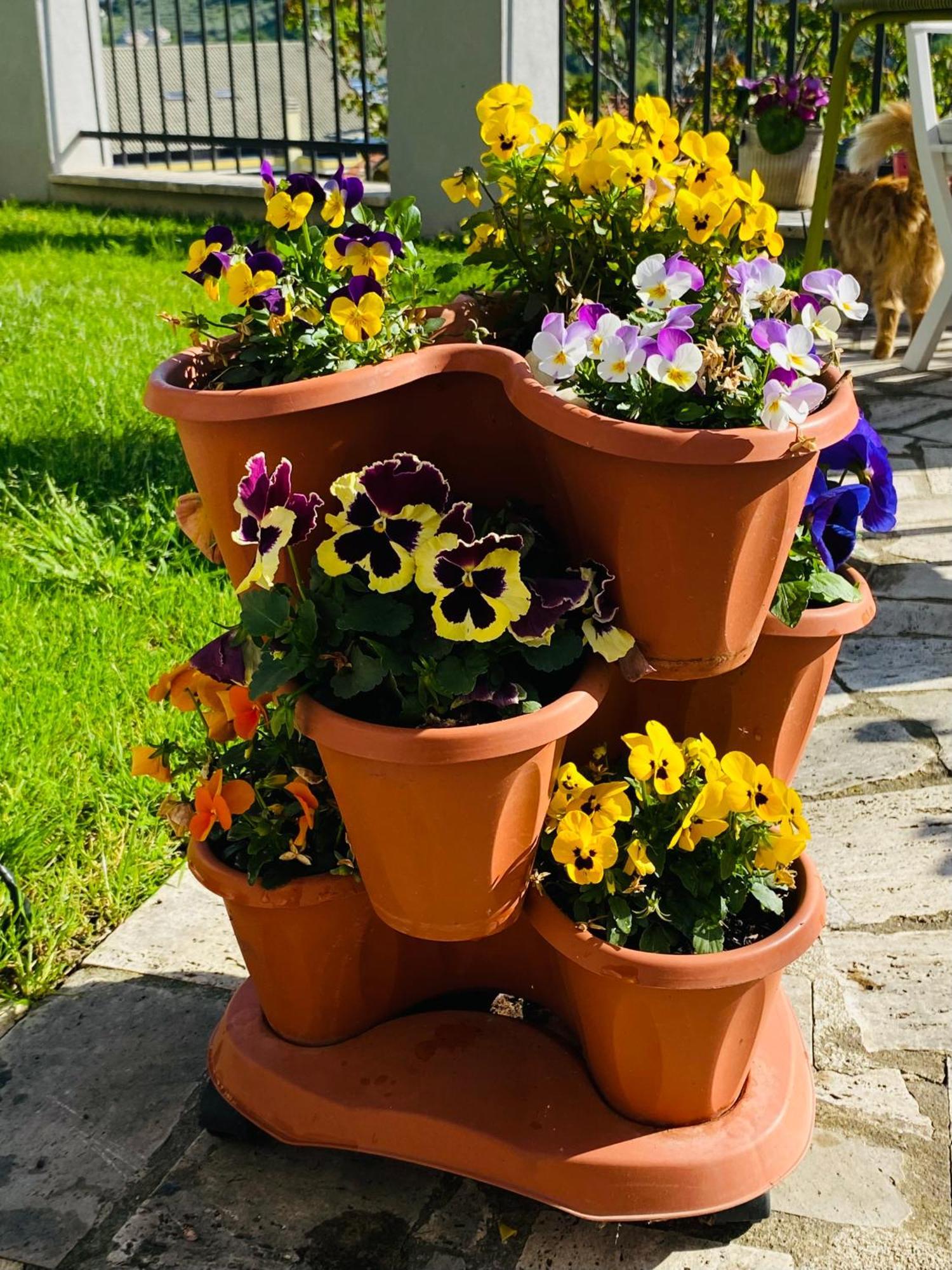 Dimora Il Campanile Bed & Breakfast Chieti Bagian luar foto